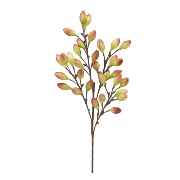Set/12 Desert Burnished Blooms